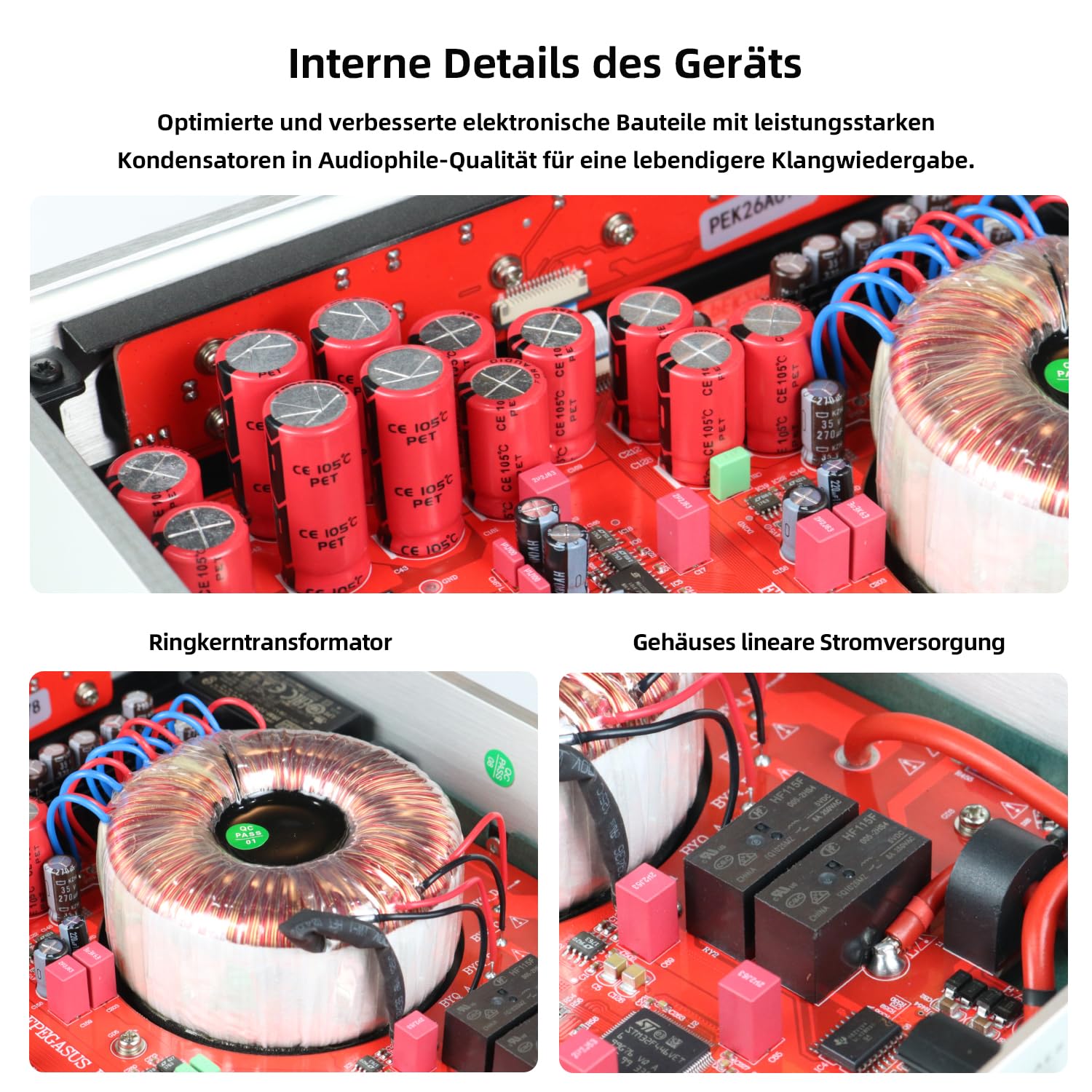 Musician Pegasus III R2R DAC, DSD1024 PCM1536kHz Decoder, USB/Opt/Coax/AES/IIS-Eingang, RCA/XLR-Ausgang, symmetrischer Digital-Analog-Audio-Konverter (Silber)
