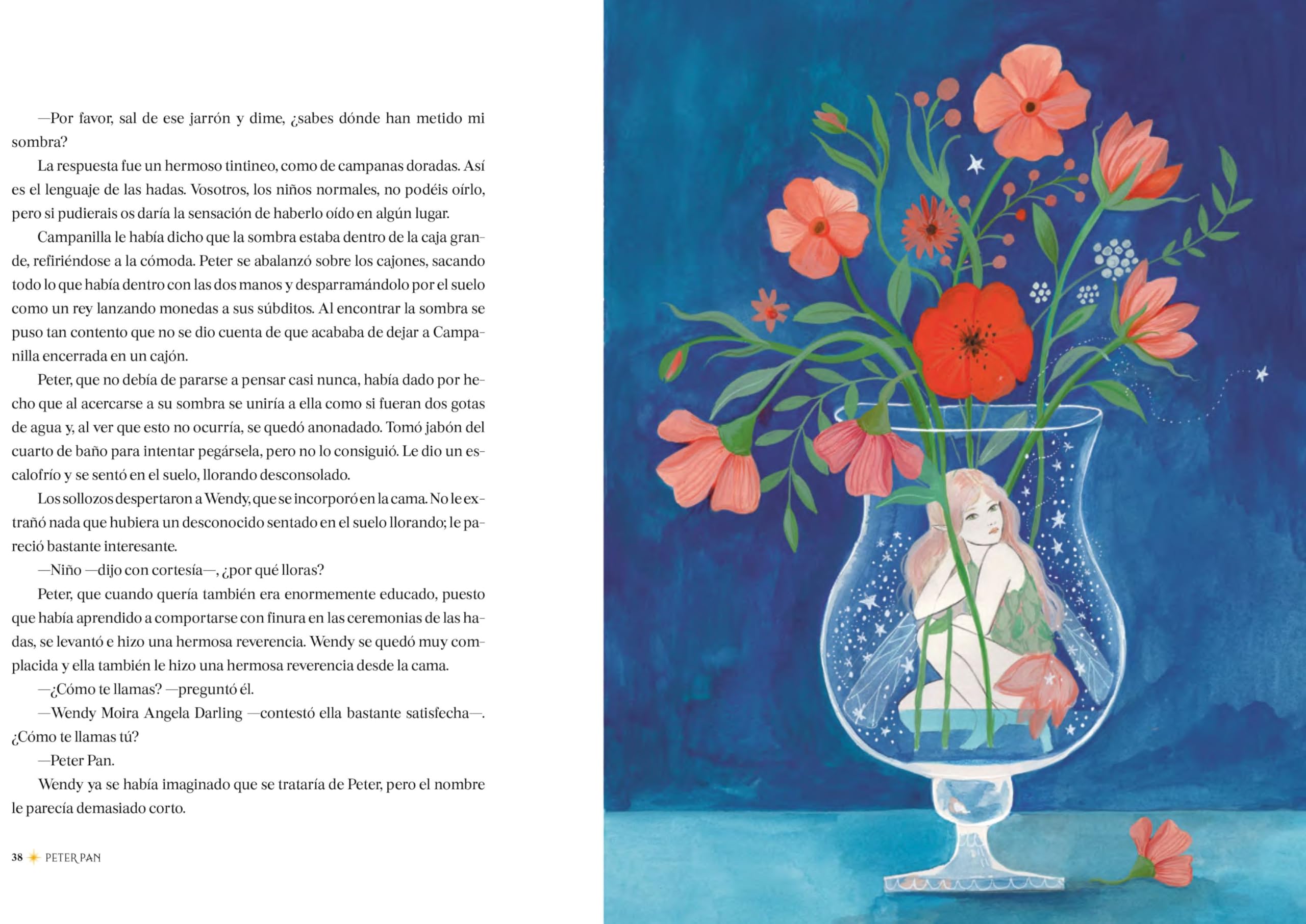Peter Pan (Literatura ilustrada)