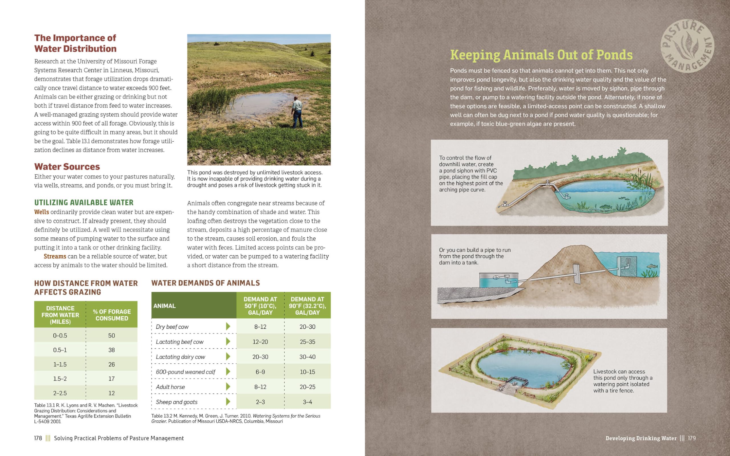 Managing Pasture: A Complete Guide to Building Healthy Pasture for Grass-Based Meat & Dairy Animals