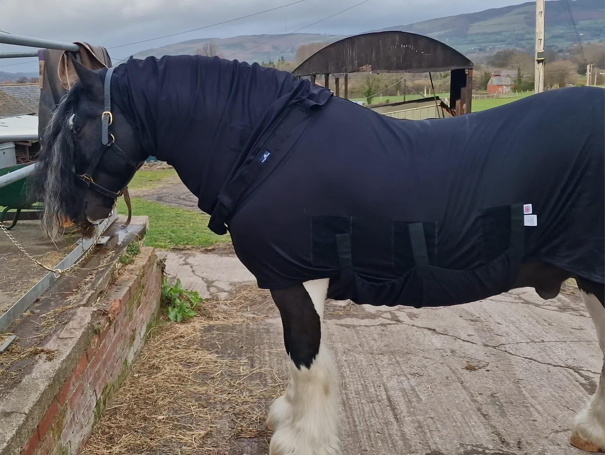 Base Body Rug for Horses and Ponys with Neck
