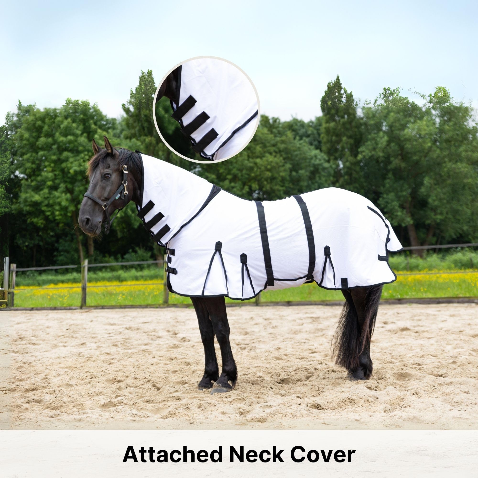 Resistance Durable Mesh Combo Fly Summer Sheet with Belly Guard and Combo Neck Cover