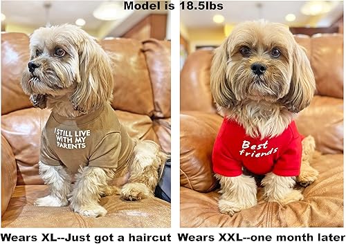 Linda ropa para perros camiseta para perros medianos Ropa para perros pequeños niñas niños cachorros Disfraz suave y transpirable para perros y