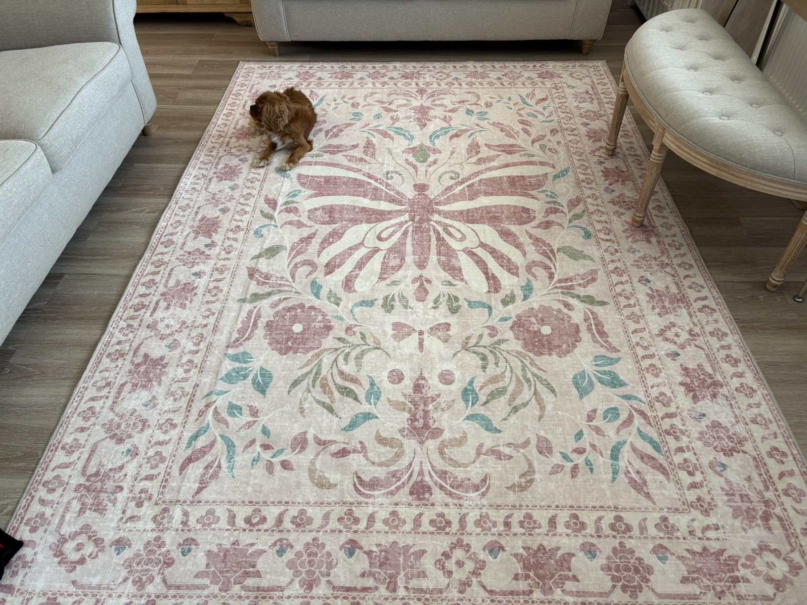 Customer photo