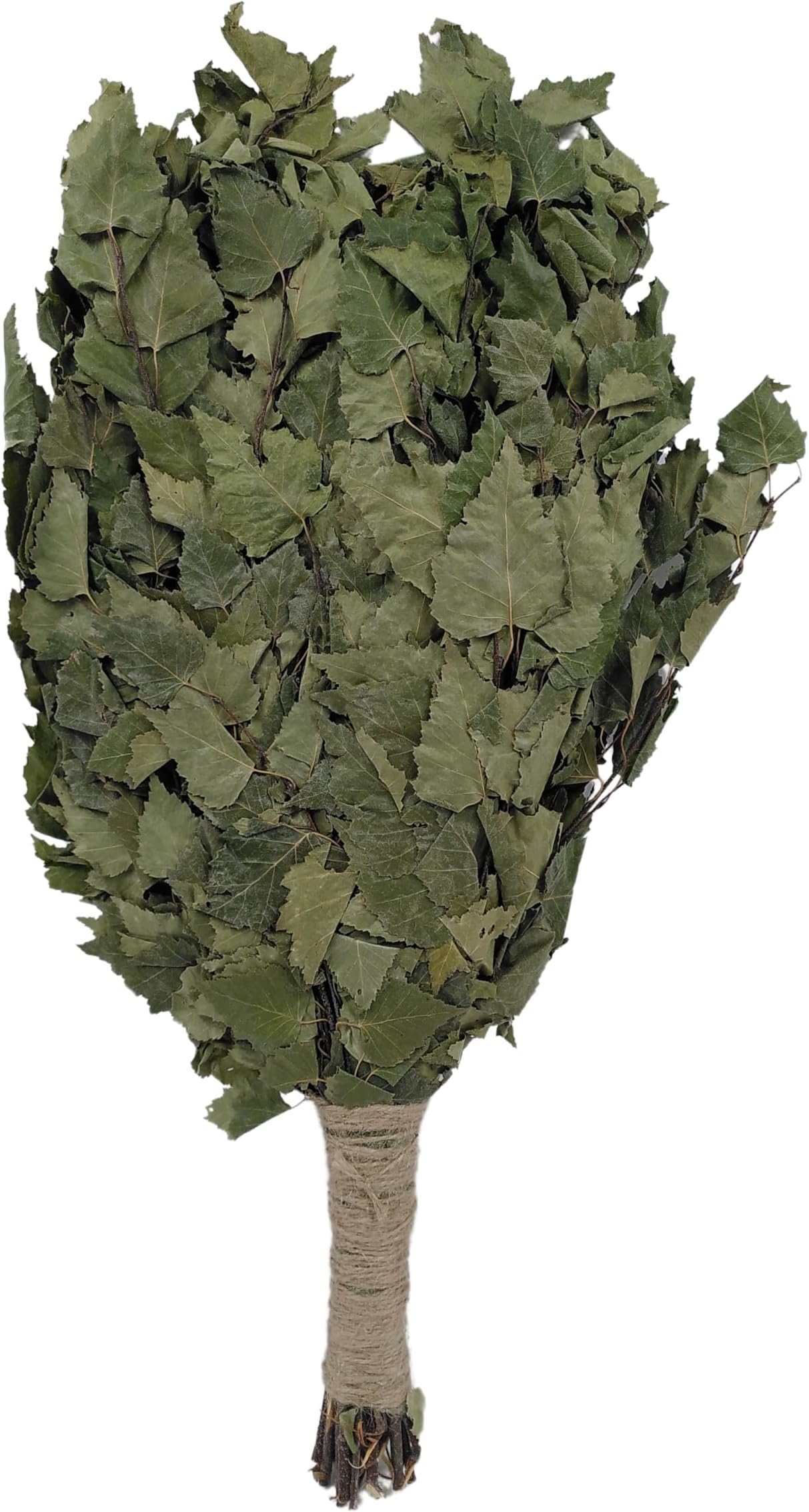 Dufte Momente Birch Twig from Harvest 2023 - Popular with Professional Users from Therme, Hotel, Gym, etc. - Sauna Accessories