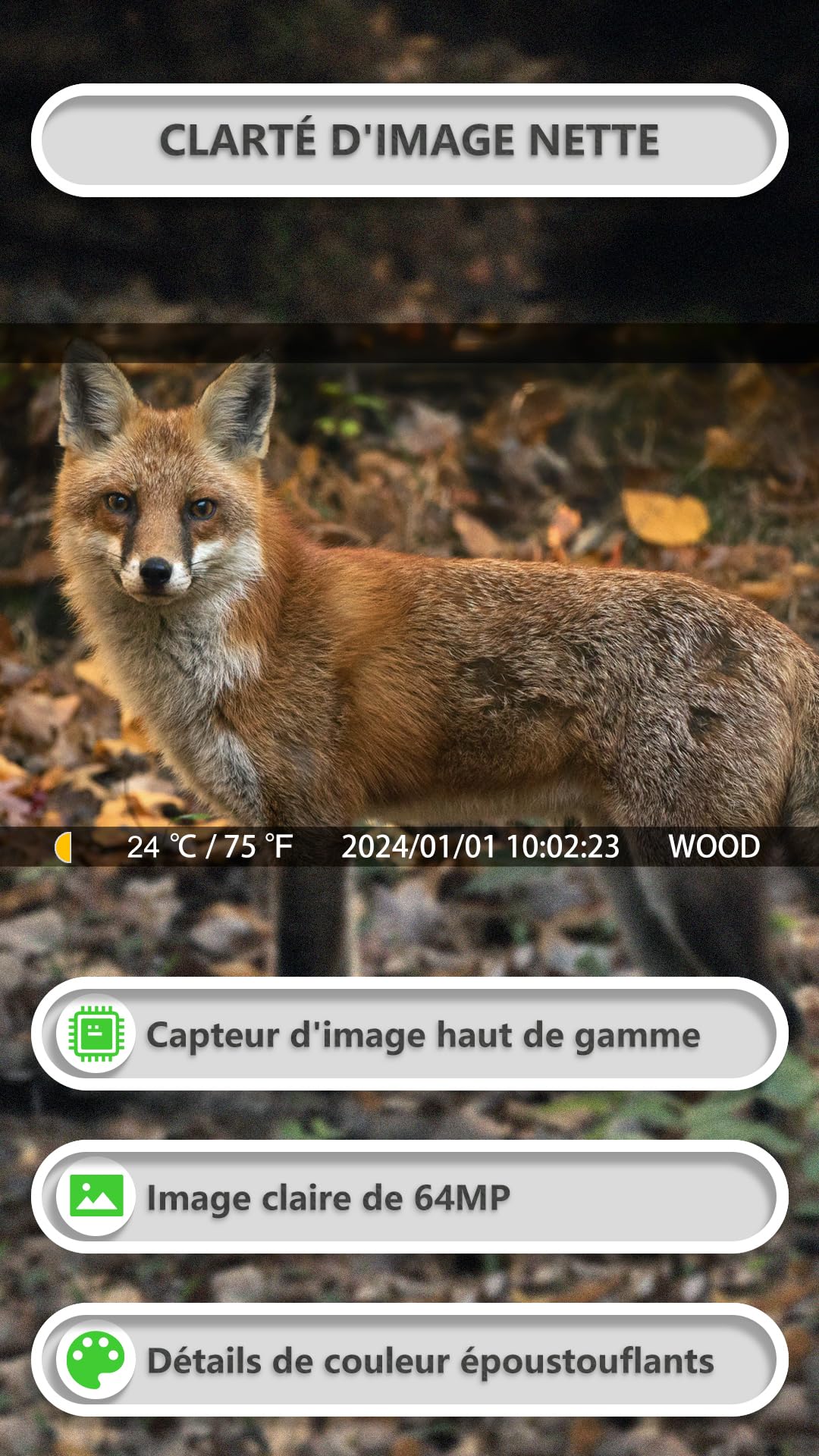 GardePro E8P Max Caméra de Chasse, WiFi, Batterie Rechargeable 8000 mAh, Carte SD Intégrée, 64MP 1296P, Caméra E8PMB No Glow Infrarouge Vision Nocturne