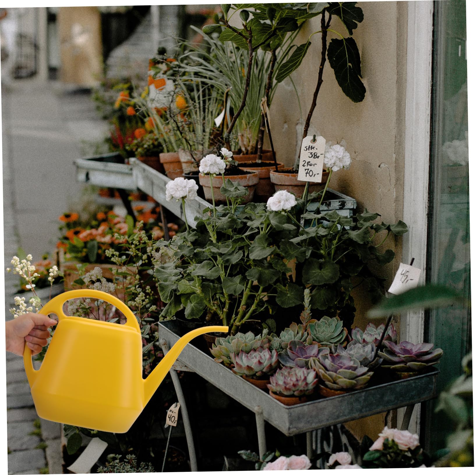 Mipcase 2pezzi Annaffiatoio Plastica Manici Doppia Funzione Strumento Pratico Per Giardinaggio Per Piante e Fiori Casa e Giardino Design Robusto e Capiente