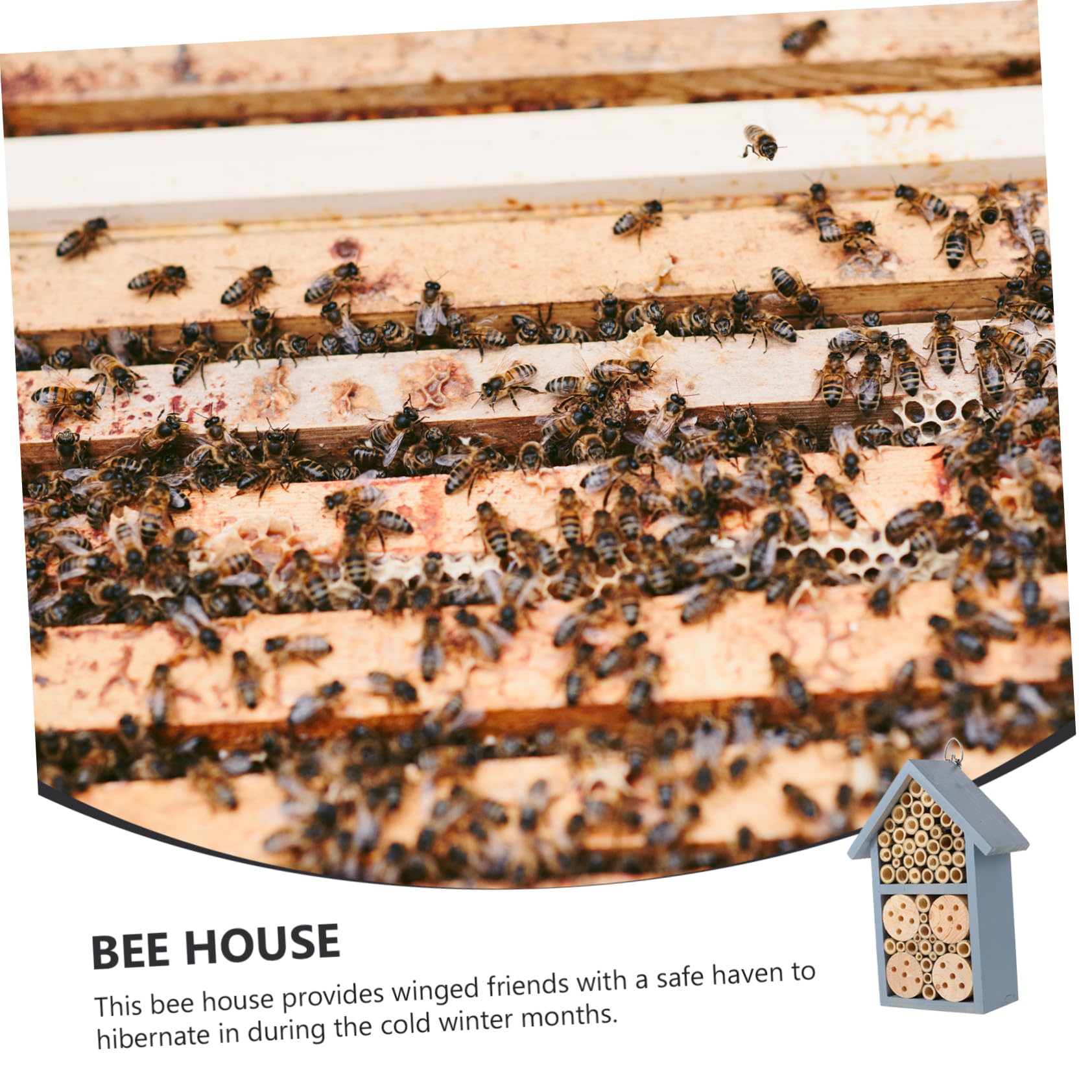 Holz Insektenhaus Garten Bienenhaus Nisthilfe Wildbienen Holzhaus Wetterfest für Outdoor Garten Deko Blau