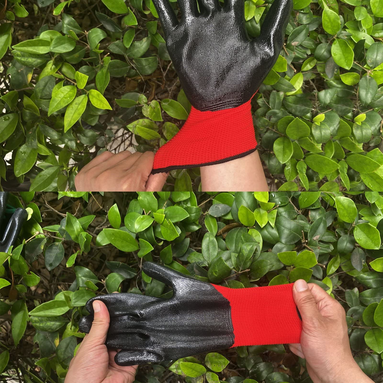 View 6