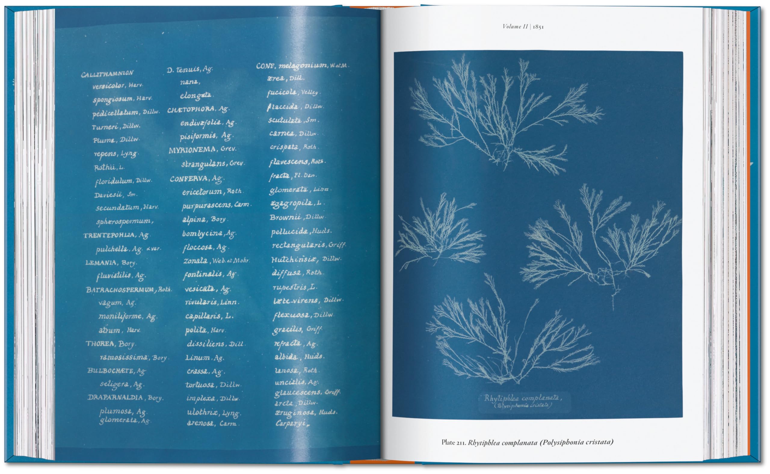 Anna Atkins: Cyanotypes. 45th Ed.