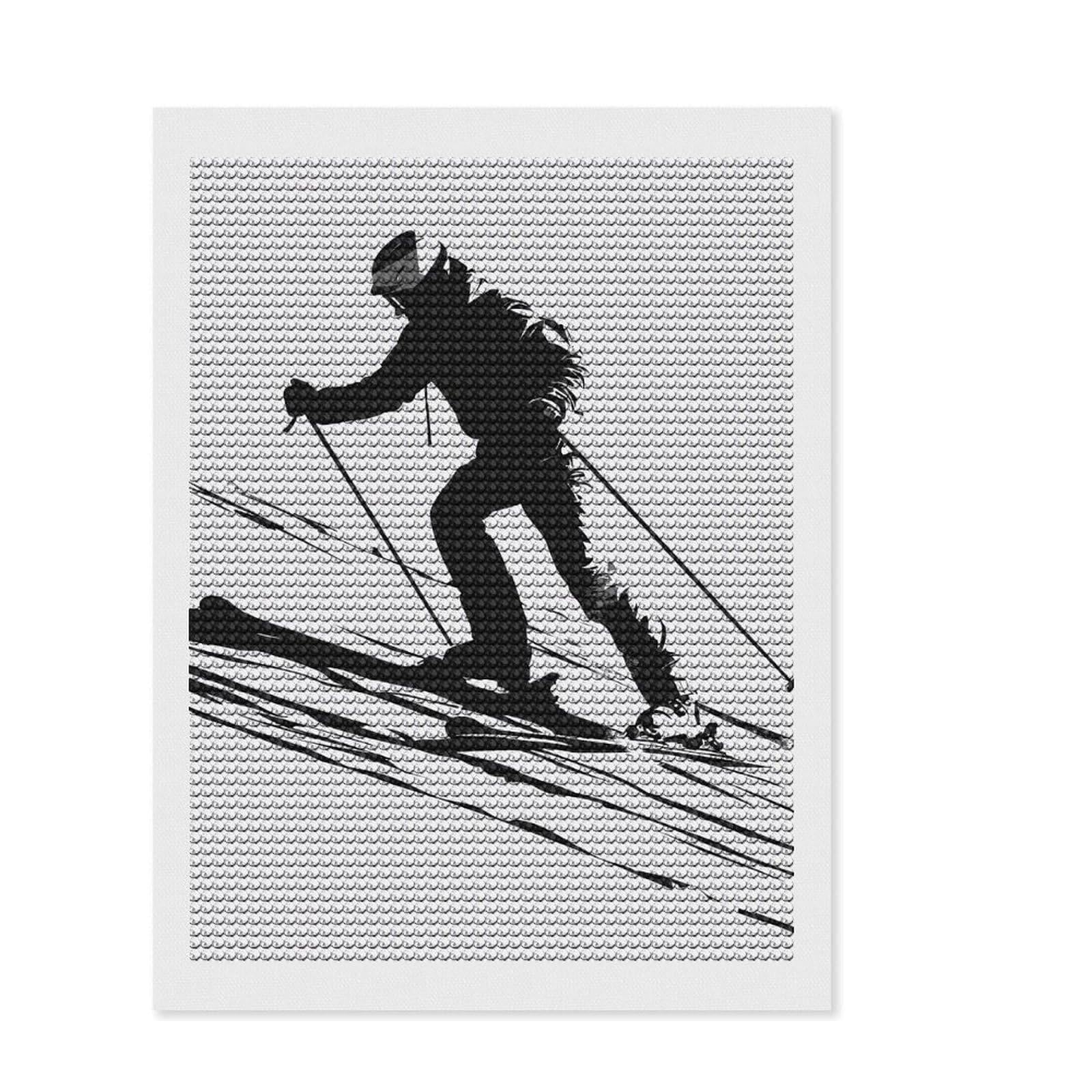 Junmoney Ski Skiing Black and White Diamond Art Canvas 12"x16", Stress Relief Craft, Neat Printed Canvas, Modern Decor, for Family Craft Time