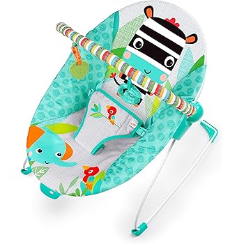 bright starts fanciful flowers vibrating bouncer