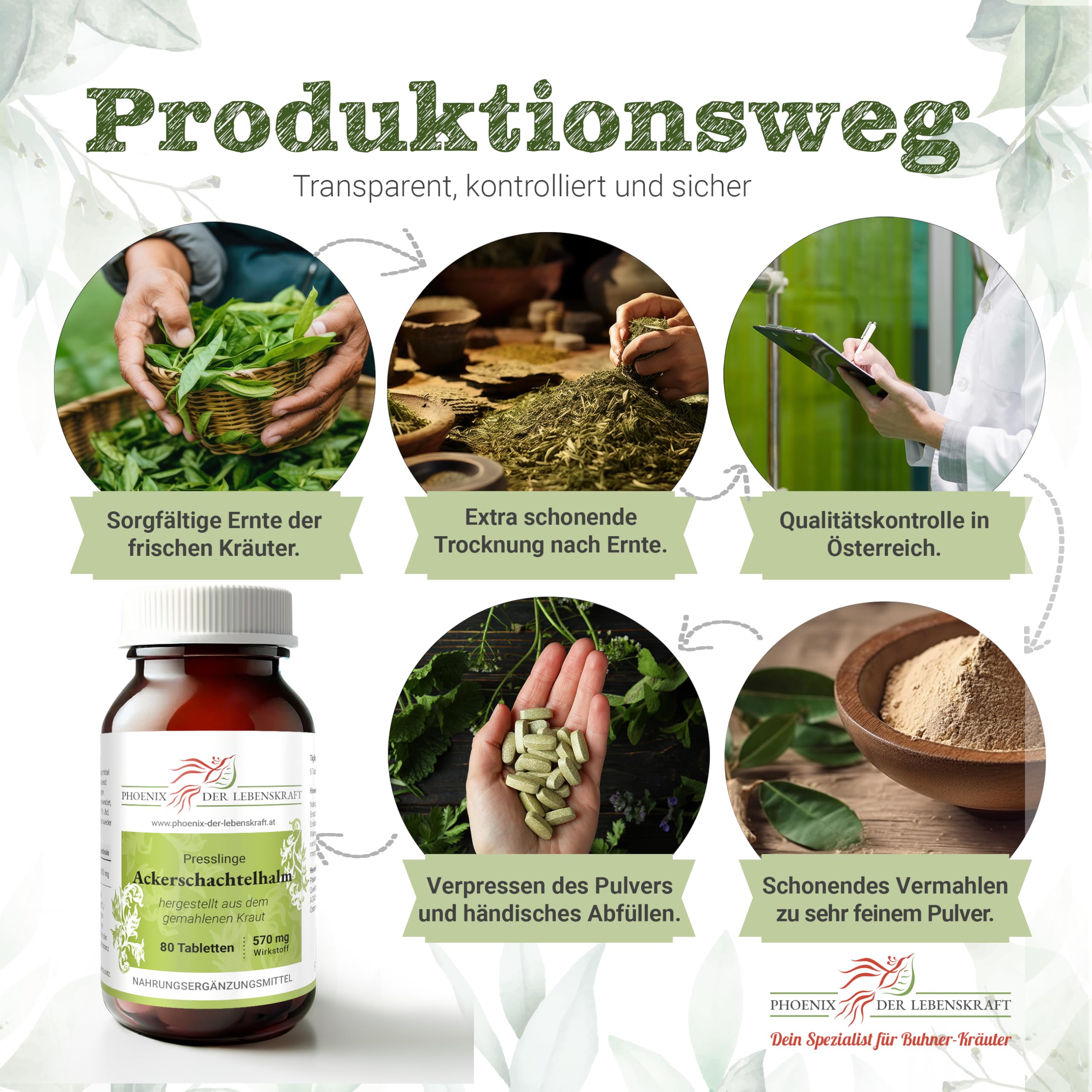 Ackerschachtelhalm Tabletten 570mg | 80 Tabletten Equisetum arvense | Top Premium Qualität aus Österreich | Vegane Tabletten statt Kapseln ohne Zusatzstoffe | Zinnkraut, Schaftheu, Katzenwedel