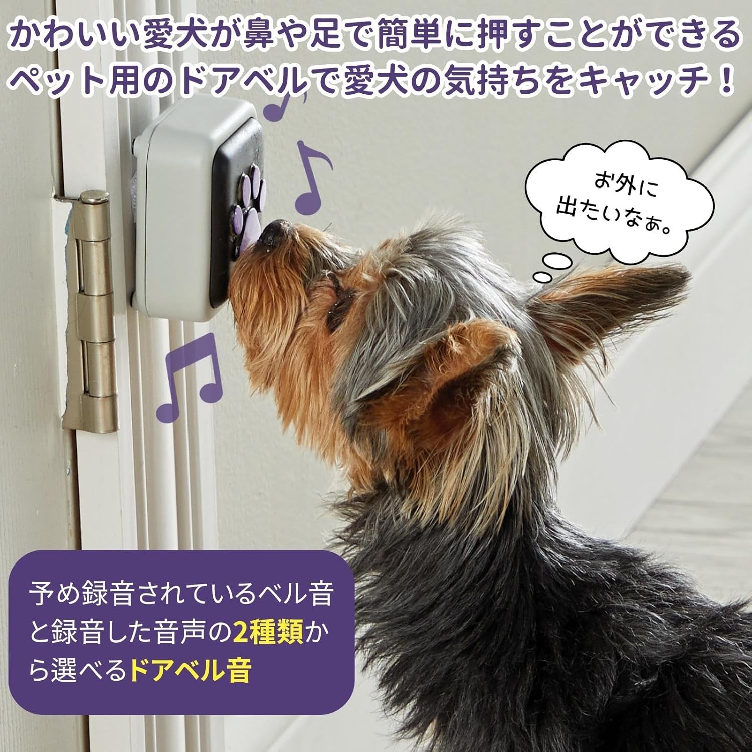 Hunger for Words Talking Pet Talking Doorbell, Japanese Version, LER9356-J, Authentic Product