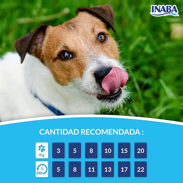 Foto 6 de 7 de INABA Churu Snack para Perros Cremoso de Atún con Salmón