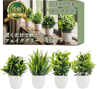 【インテリアコーディネーター監修】置くだけで映える フェイクグリーン 4点セット『どこに置いても使いやすいように厳選』小ぶりな卓上サイズｘお手入れ不要