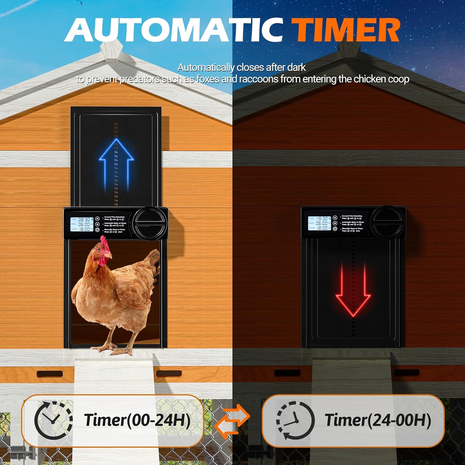 Illustration showing the automatic chicken coop door opening in the morning and closing in the evening with a timer function.