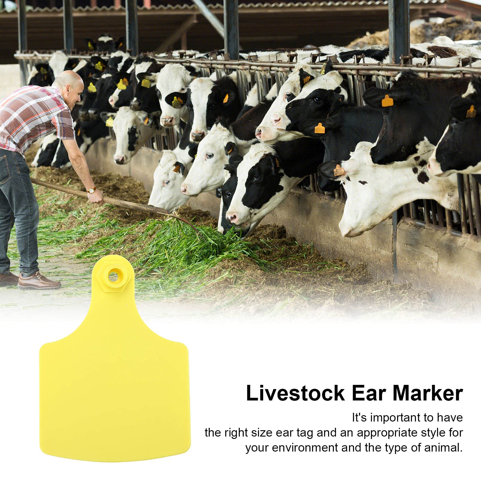 Cryfokt Marchi Auricolari Per Bovini, 100 Set Di Marchi Auricolari In Plastica Per Bestiame, Facili Da Identificare, Etichette Di Precisione Per Suini