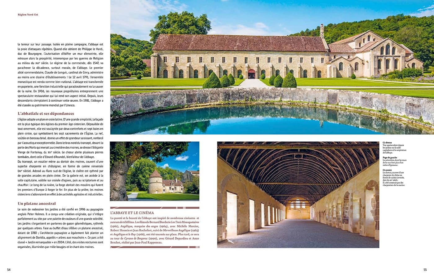 Au coeur des abbayes: Histoire et secrets des plus beaux monastères de France