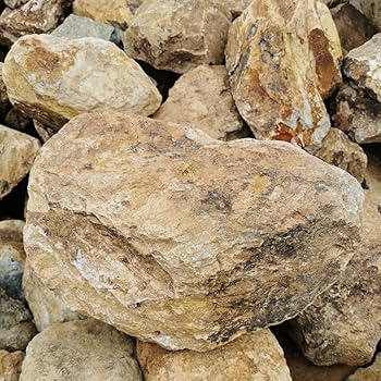 Amazon.co.jp: みかも石300キロ庭石鑑賞石石盆石水石灯籠庭坪庭