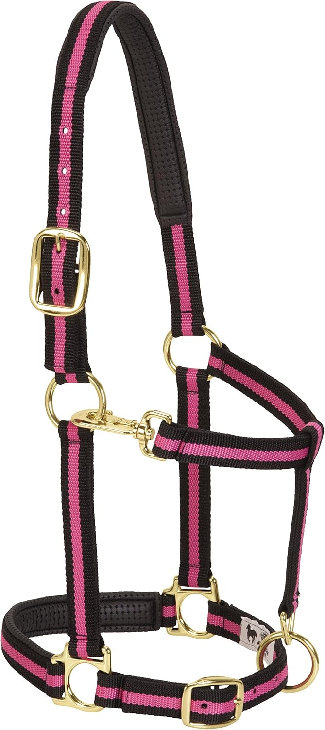 Weaver Leather Padded Adjustable Nylon Horse Halter: Sports & Outdoors