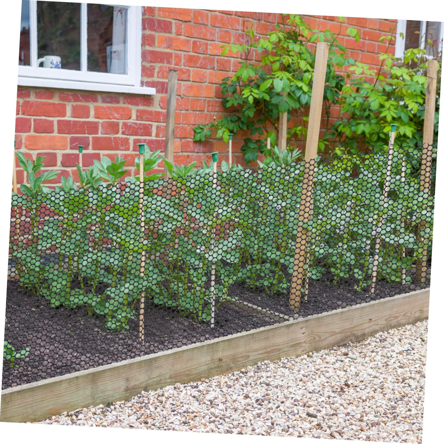 ifundom Recinzione in Rete Per Pollame Da Giardino Rete in Plastica Per Recinzioni Da Giardino Flessibile e Resistente Per Creare Forme Curve o Installazioni in Serie Proteggendo Erba Bord