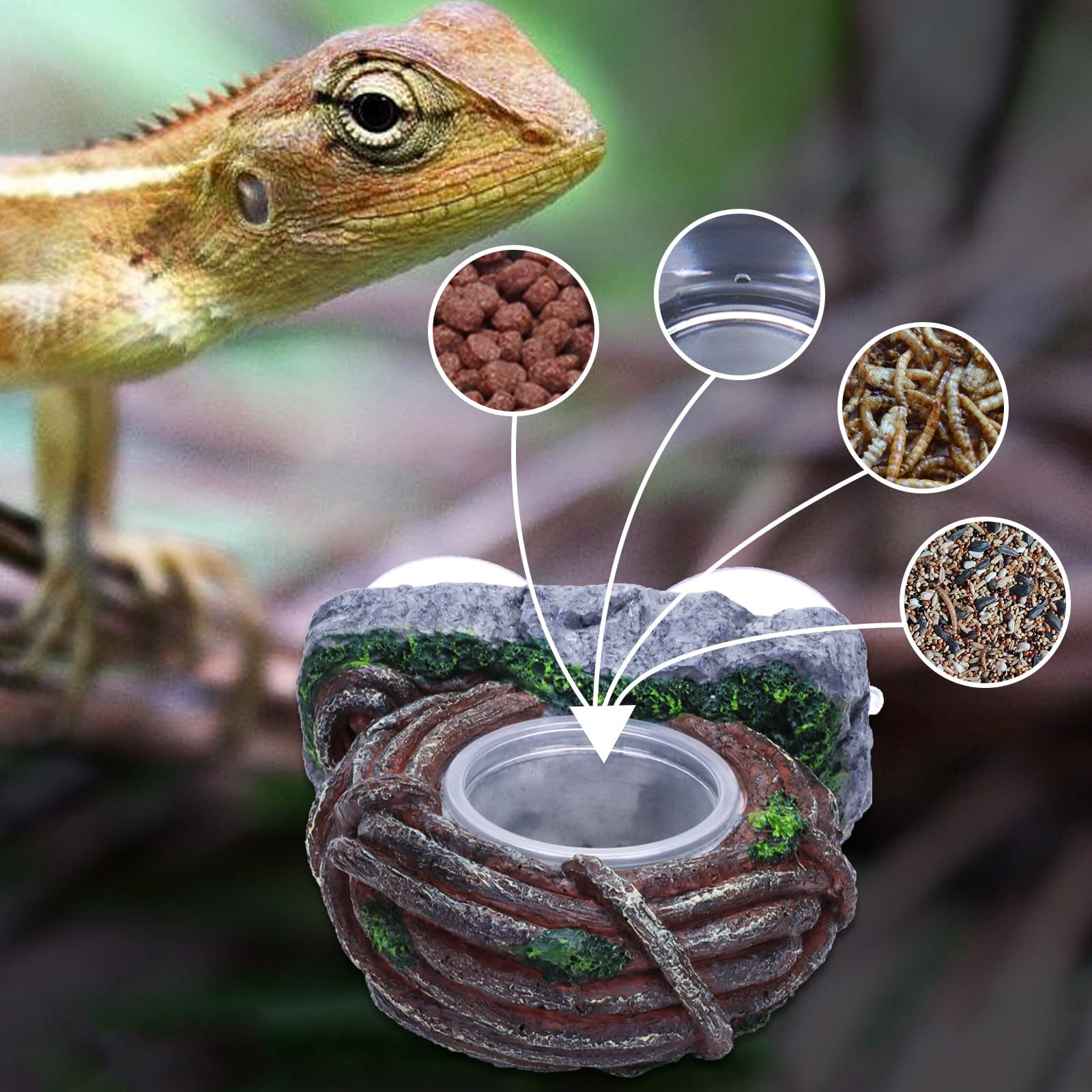 4 Stück Gecko-Futternapf Aus ABS – Wandmontierbar, Einfach Zu Reinigen, Für Reptilien & Eidechsen