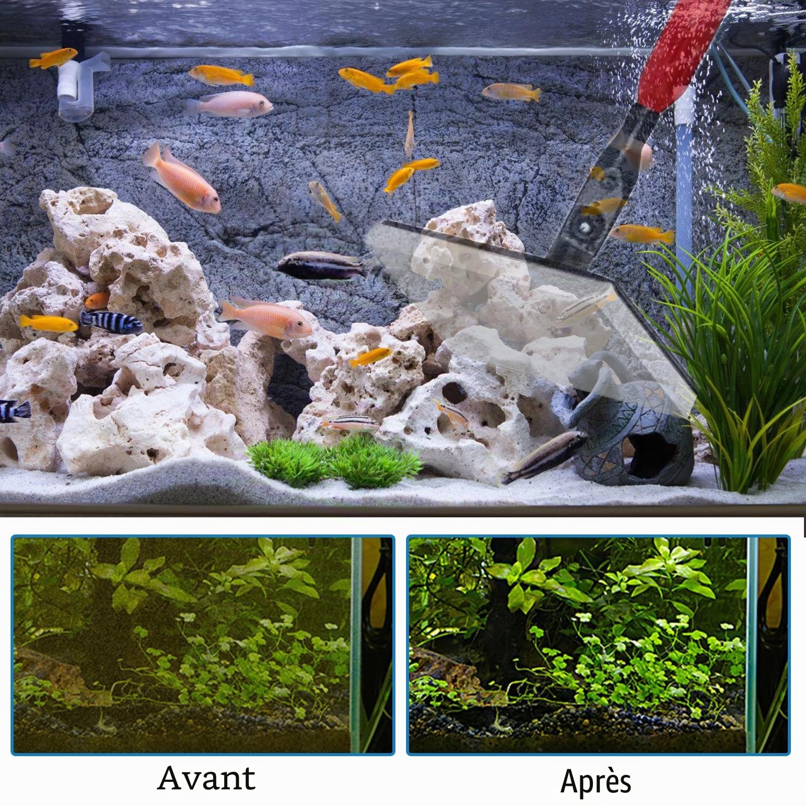 Outils de nettoyage d'aquarium 6 en 1, kit de nettoyage d'aquarium, kit d'outils de nettoyage d'aquarium, 6 en 1, grattoir, filet de pêche, râteau à sable pour l'entretien de l'aquarium