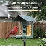 Kiwibit Smart Bird Feeder with Camera Solar Powered, 4K Video Live stream, Wireless Outdoors Bird Camera, AI Identification Bird Species, Real-Time Bird Alert, Birdwatching Gift for Bird Lovers, Green