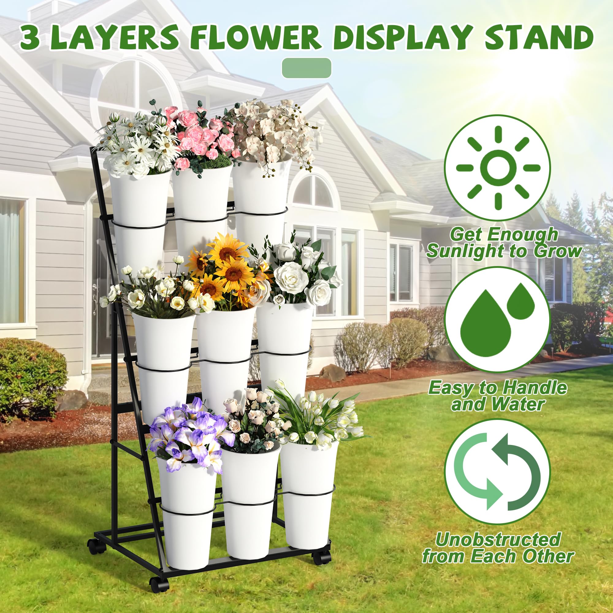 View 6