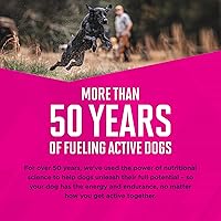 Vista 11 de Comida seca para perro, Eukanuba Puppy