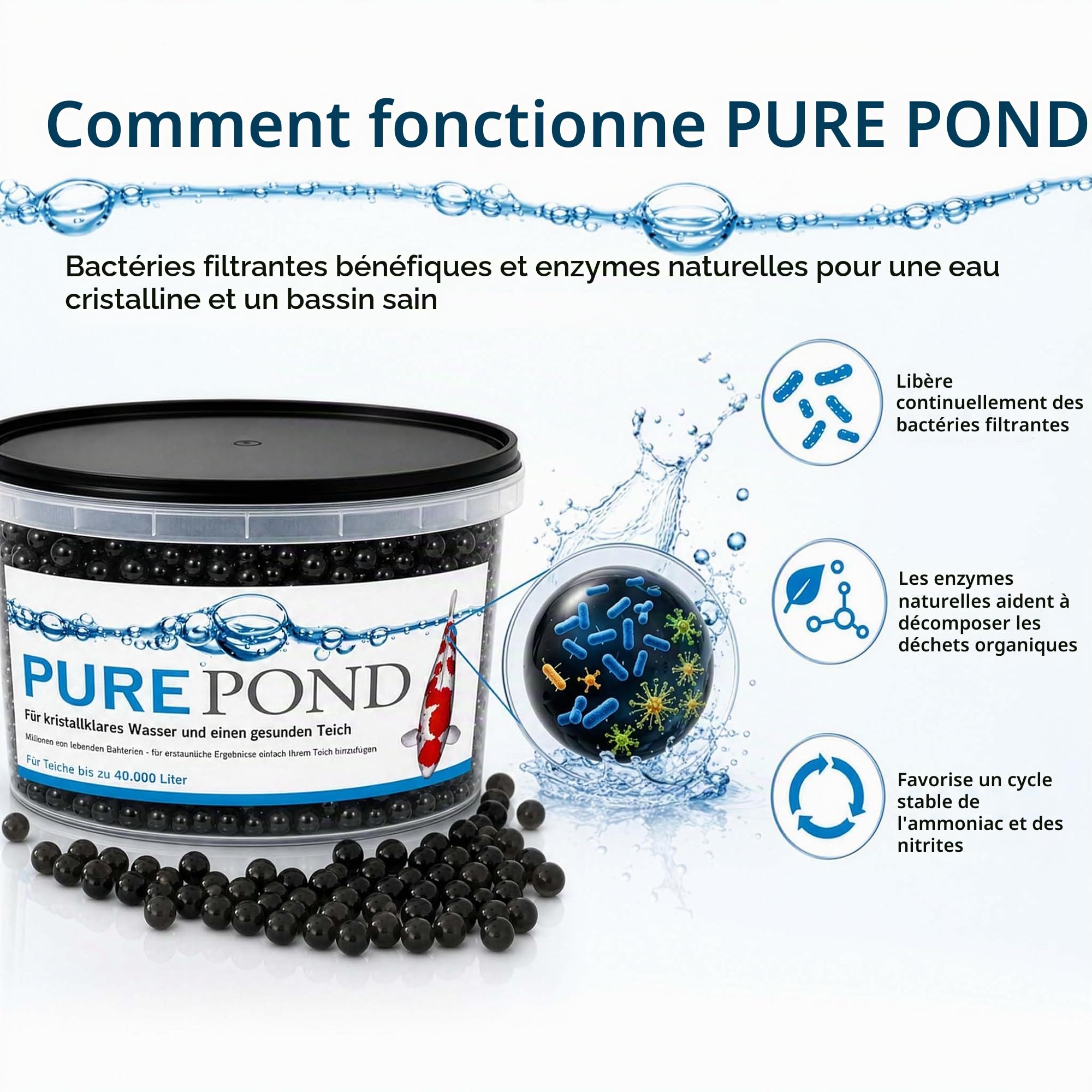 Evolution Aqua Pure Pond 2000 ML - pour 40000 litres - bactéries et enzymes - pour Filtre Eau Filtration Entretien Bassin Aquarium - régulation des valeurs Ammoniac et Nitrite - aquariophilie
