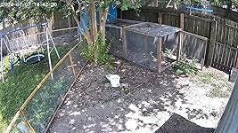 Review Image by Carol Carol