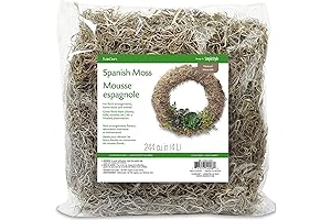 FloraCraft Spanish Moss: Resuscitate Your Home Decor