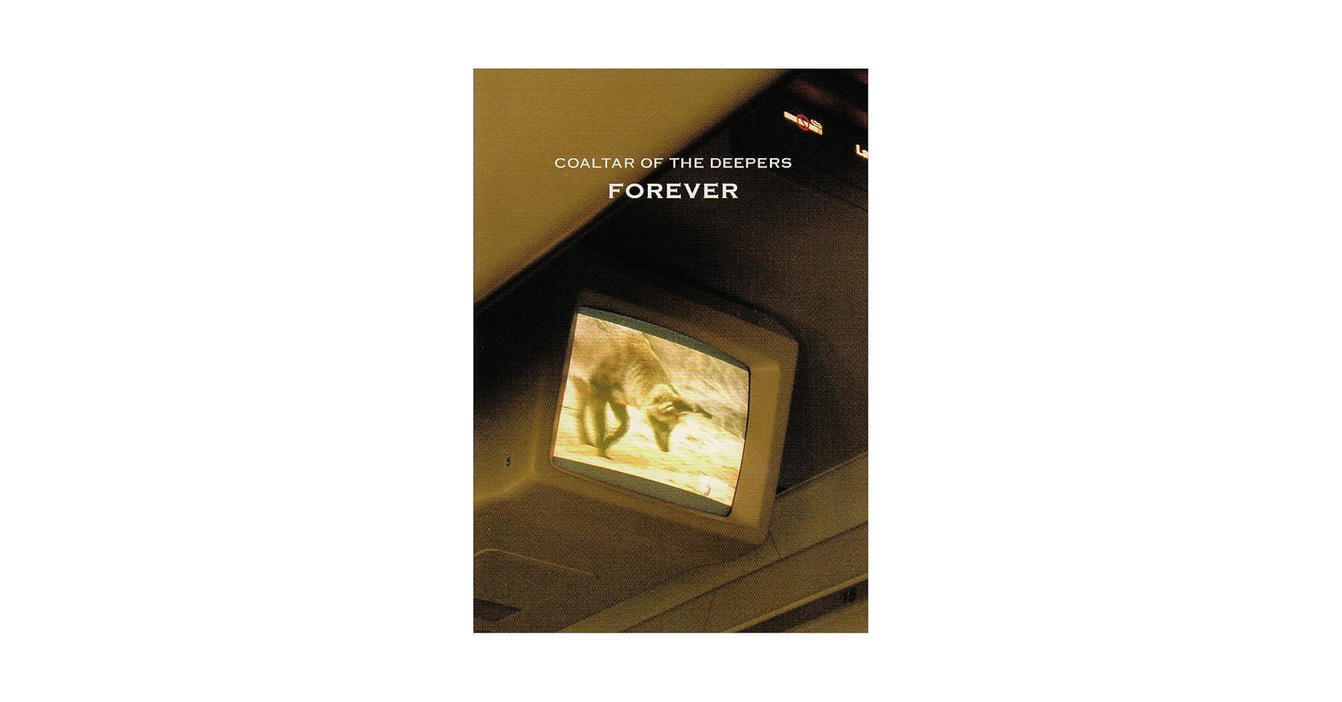 Amazon.co.jp: FOREVER [DVD] : COALTAR OF THE DEEPERS