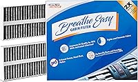 Vista 55 de Filtro de cabina AC y calefactor de defensa contra olores Spearhead Breathe Easy Compatible con 08-11 Accent, 07-16 Elantra/13-14 Coupe/13-17 GT