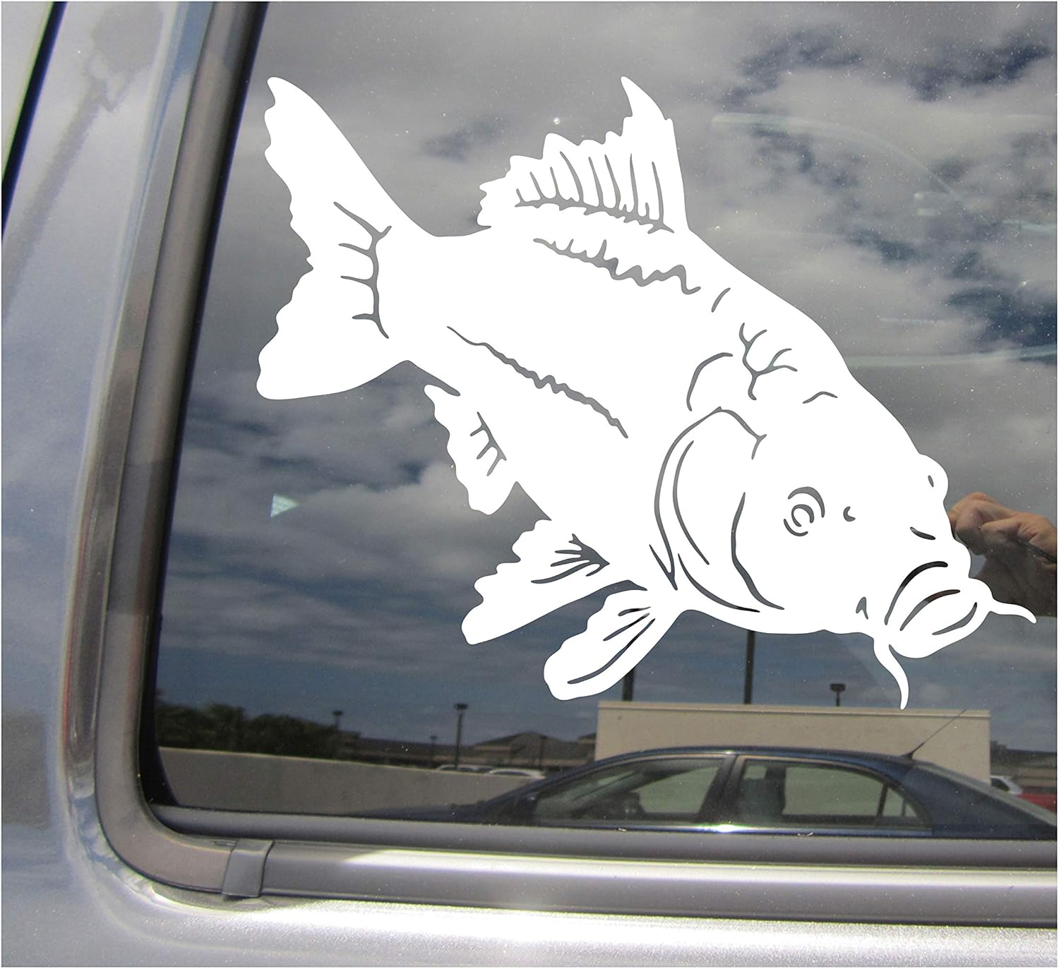 Carp Fish Fishing - Common Silver - Cars Trucks Moped Helmet Hard Hat Auto Automotive Craft Laptop Vinyl Decal Window Wall Sticker 01330