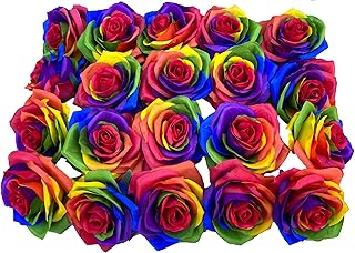 20pcs Artificial Rainbow Roses Heads no stem Silk Flower Artificial Rose Flowers DIY Any Craft Floral Arrangment( Head-Red)
