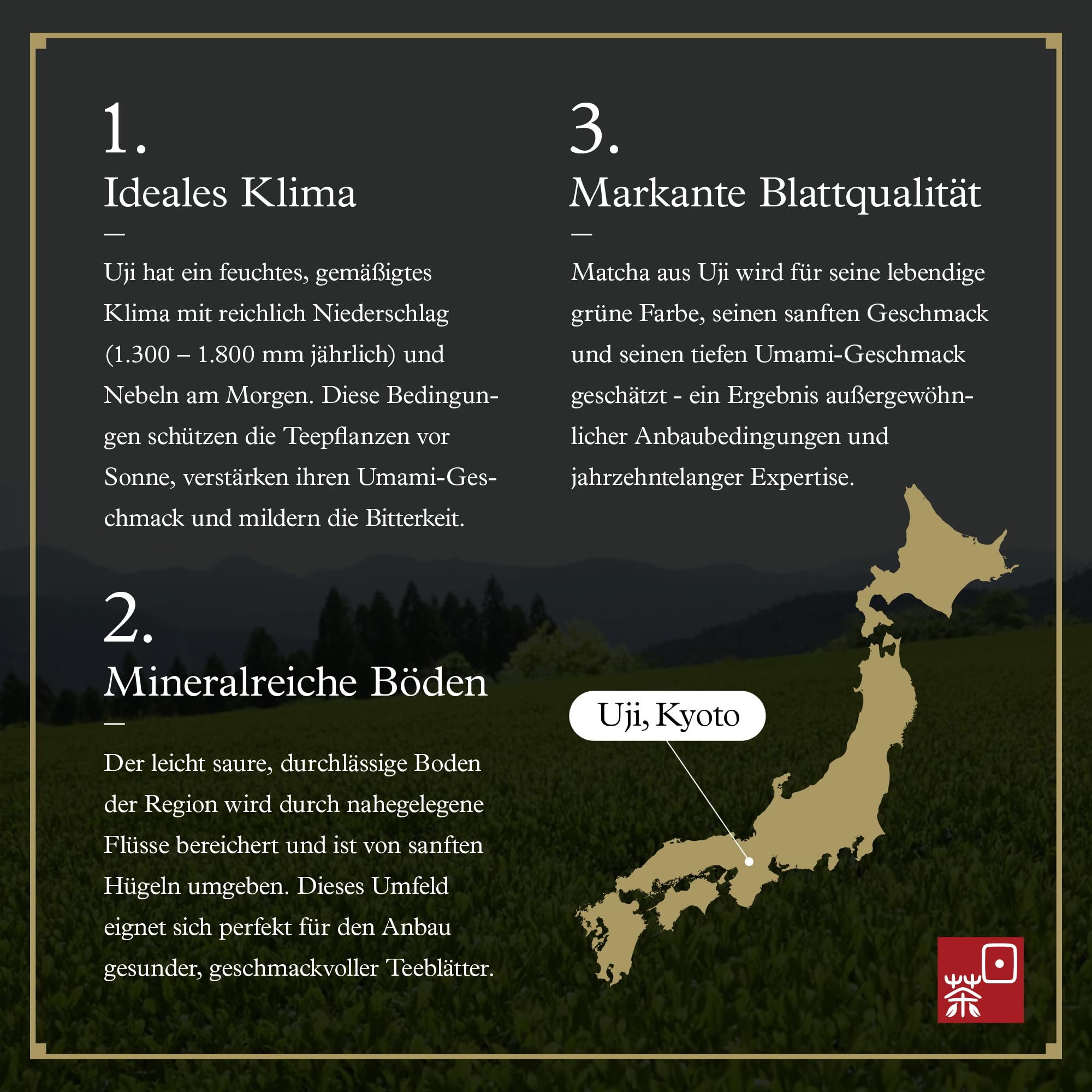 Ocha & Co. Kyoto Uji Matcha Ceremonial 50g – Erste Ernte – Traditionell japanisch im Steinmühlenverfahren hergestellt – 100% natürlich & laborgeprüft