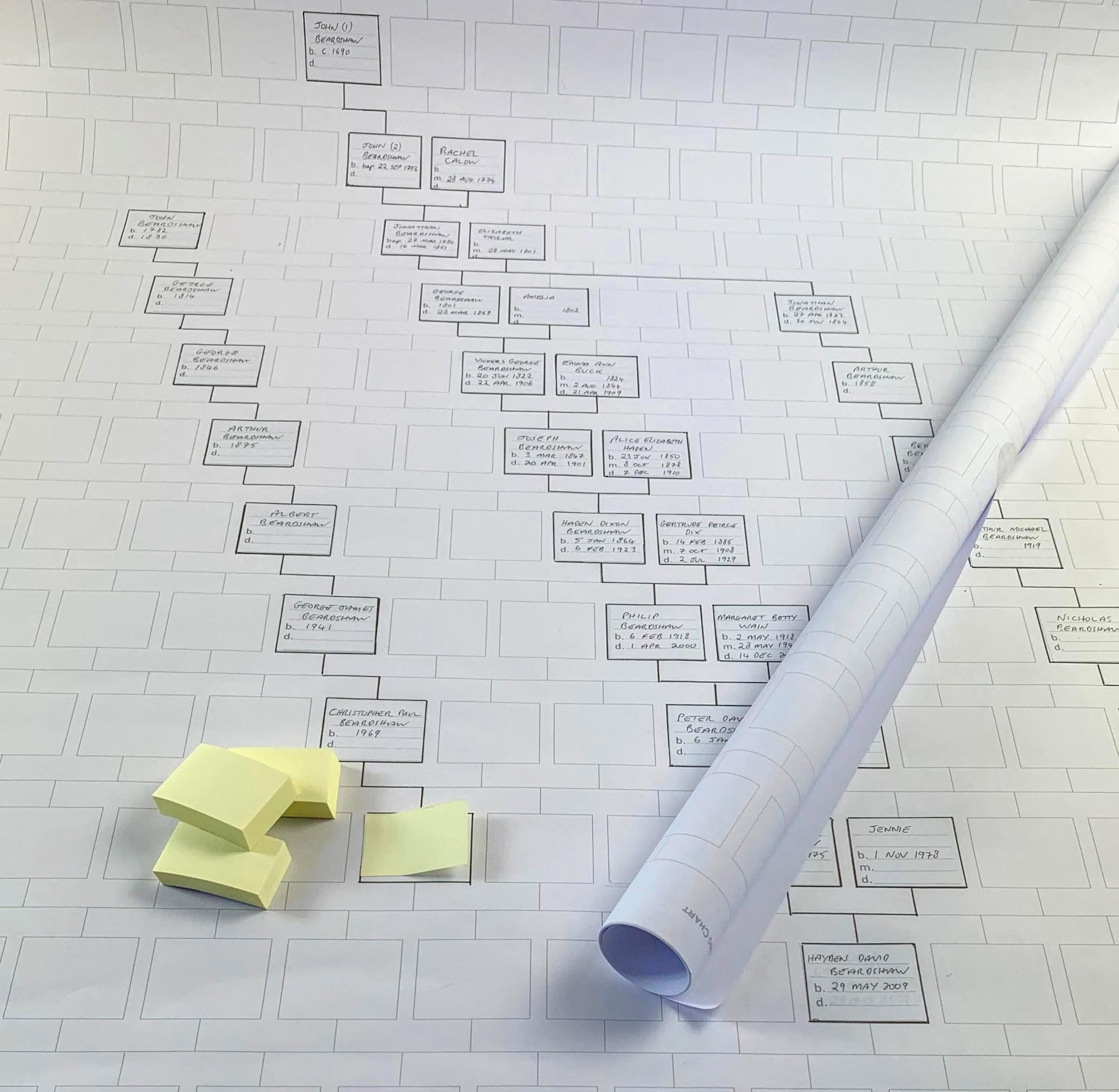 My History Family tree working chart (10 generations tall, 1 metre long)