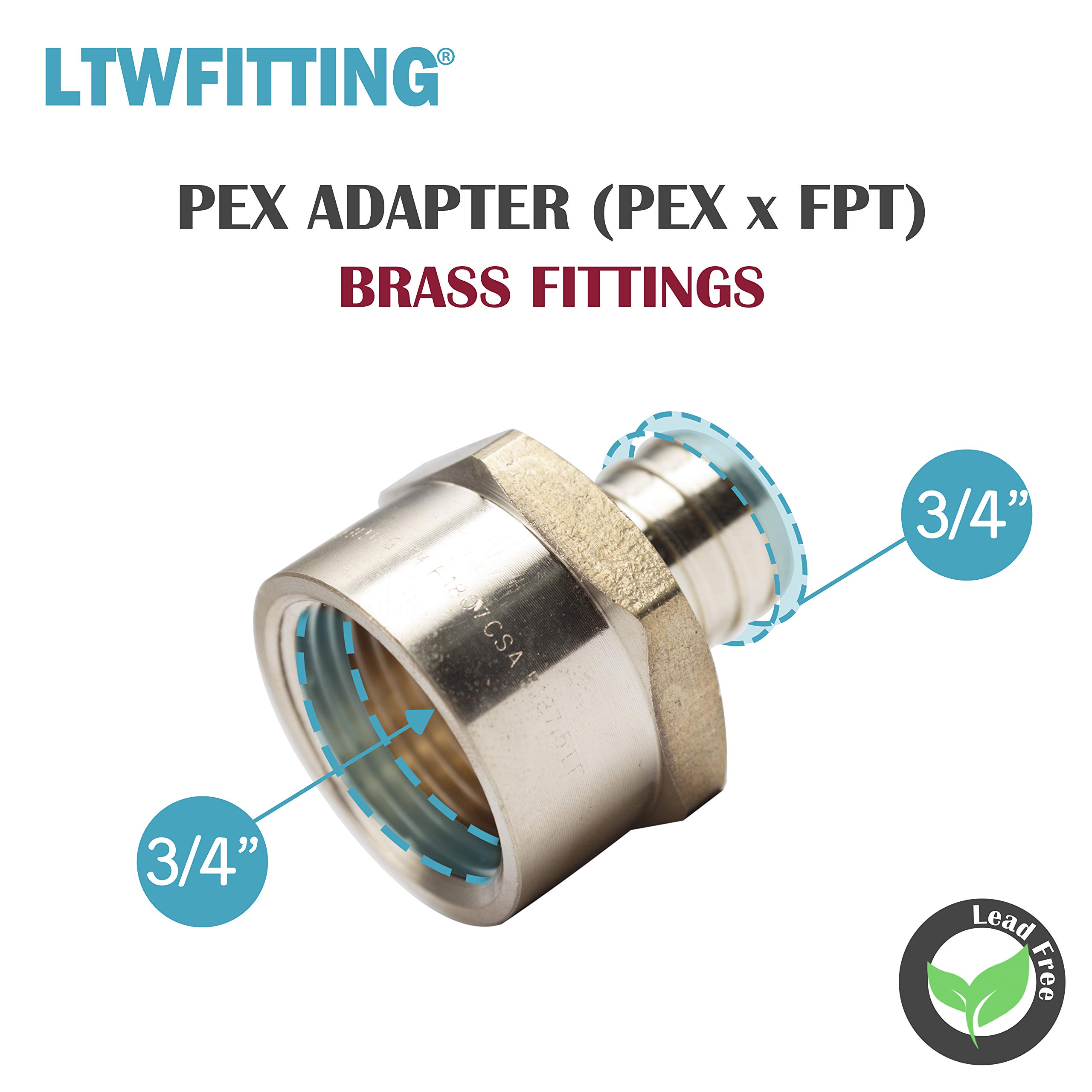 LTWFITTING 3/4 Pouce PEX x 3/4 Pouce Femelle NPT Adapteur Ondulation Sans Plomb de Tuyau Raccord en Laiton (paquet de 25)