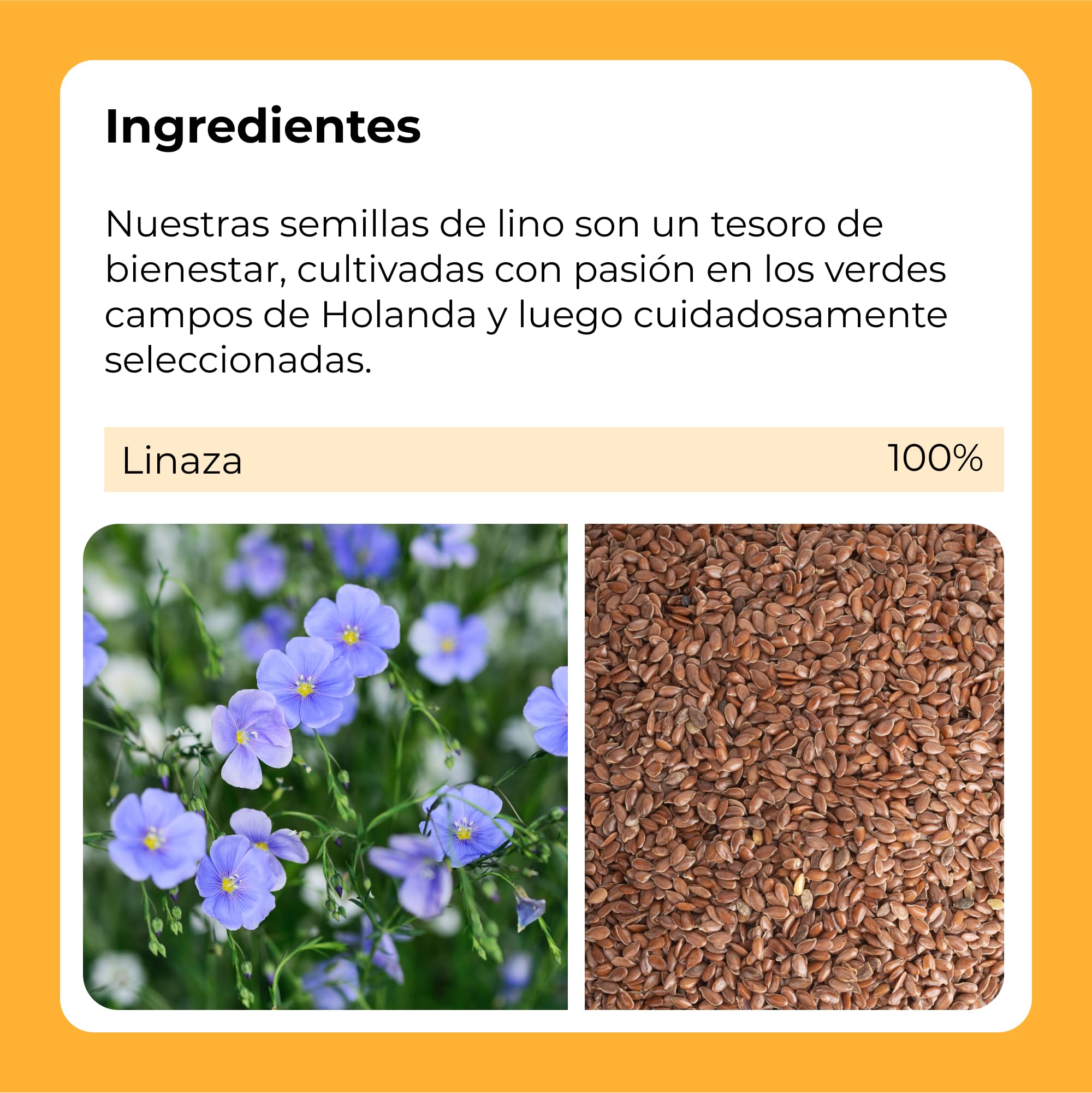Semillas de Lino Enteras | 1 Kg de Linaza de origen 100% natural | Sin Conservantes | Sin Sal | Aptas para dietas Vegetarianas y Veganas | Dorimed