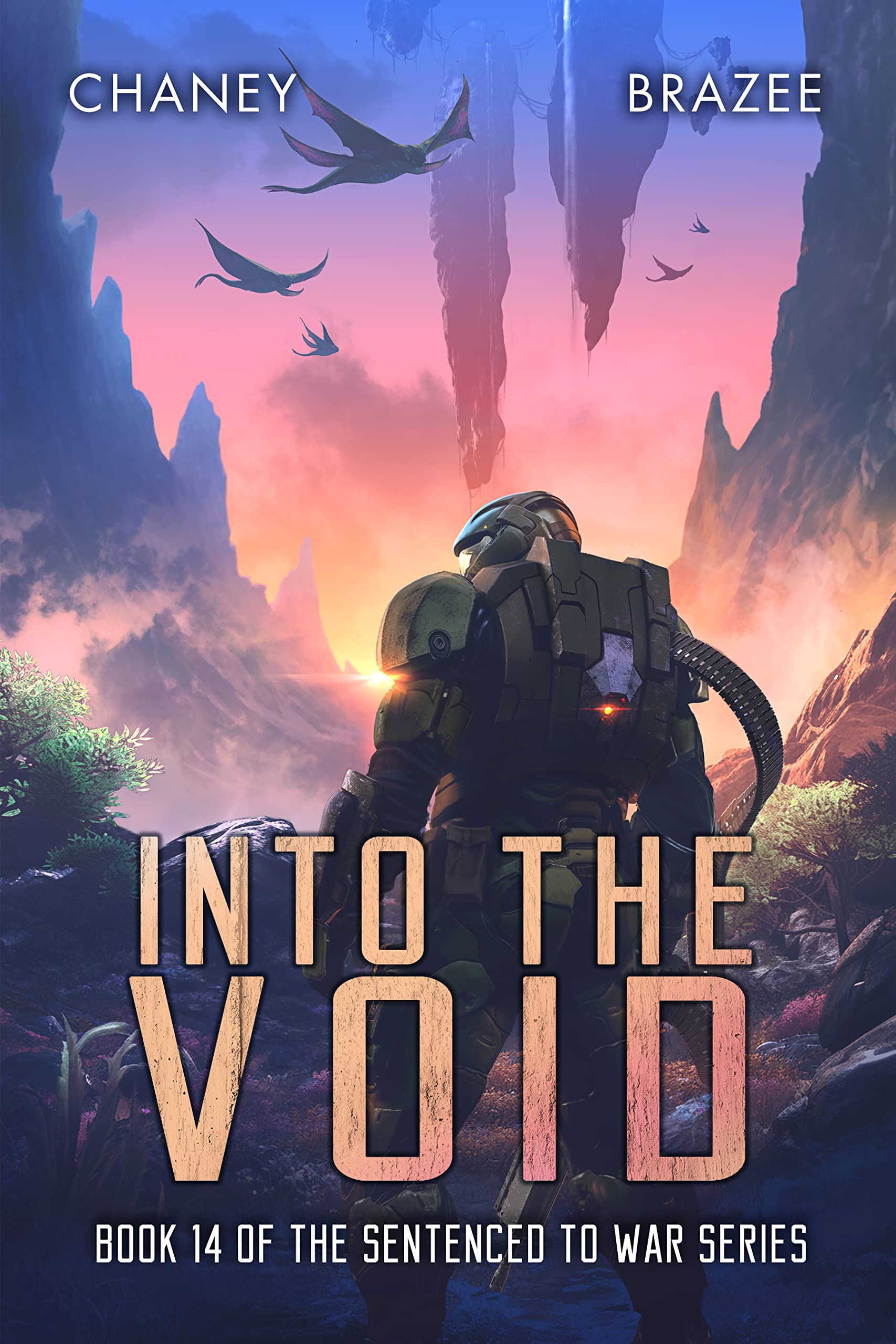 Into the Void (Sentenced to War Book 14)