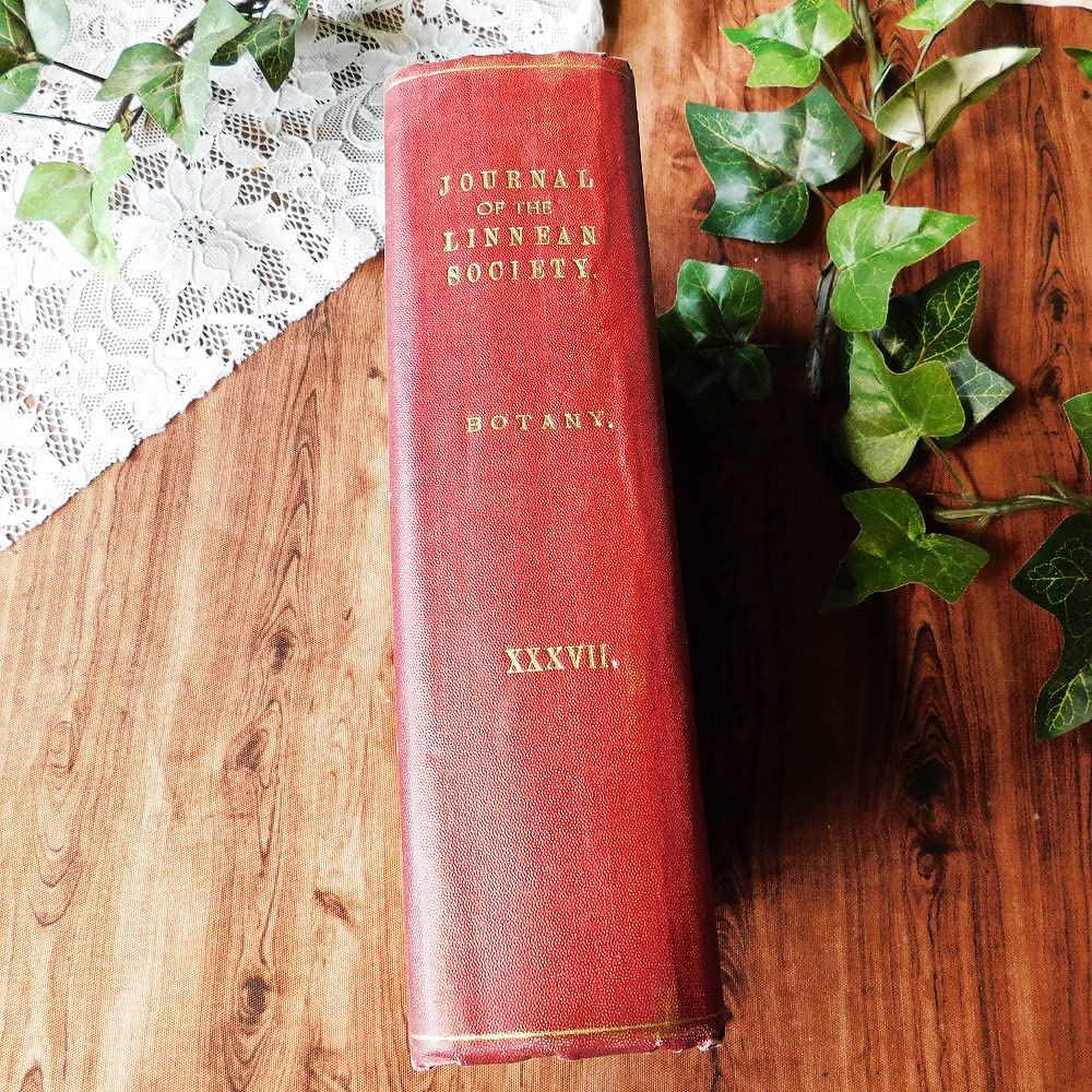 Amazon.co.jp: +.。*゜+ 1906年 英国の植物学の古書 アンティーク