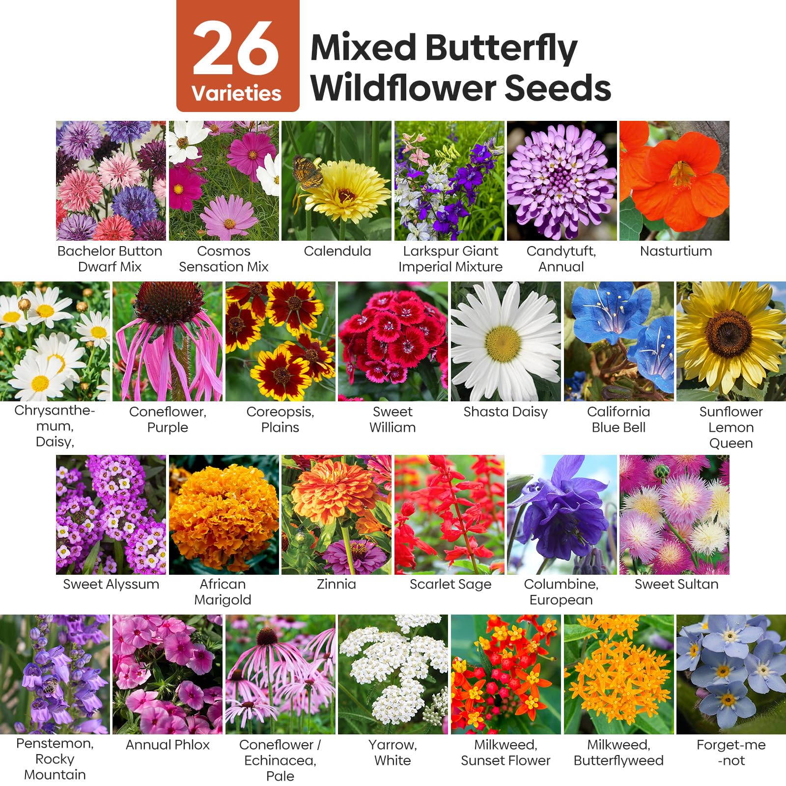 Amazon.com: Groundio Todas las semillas de flores silvestres