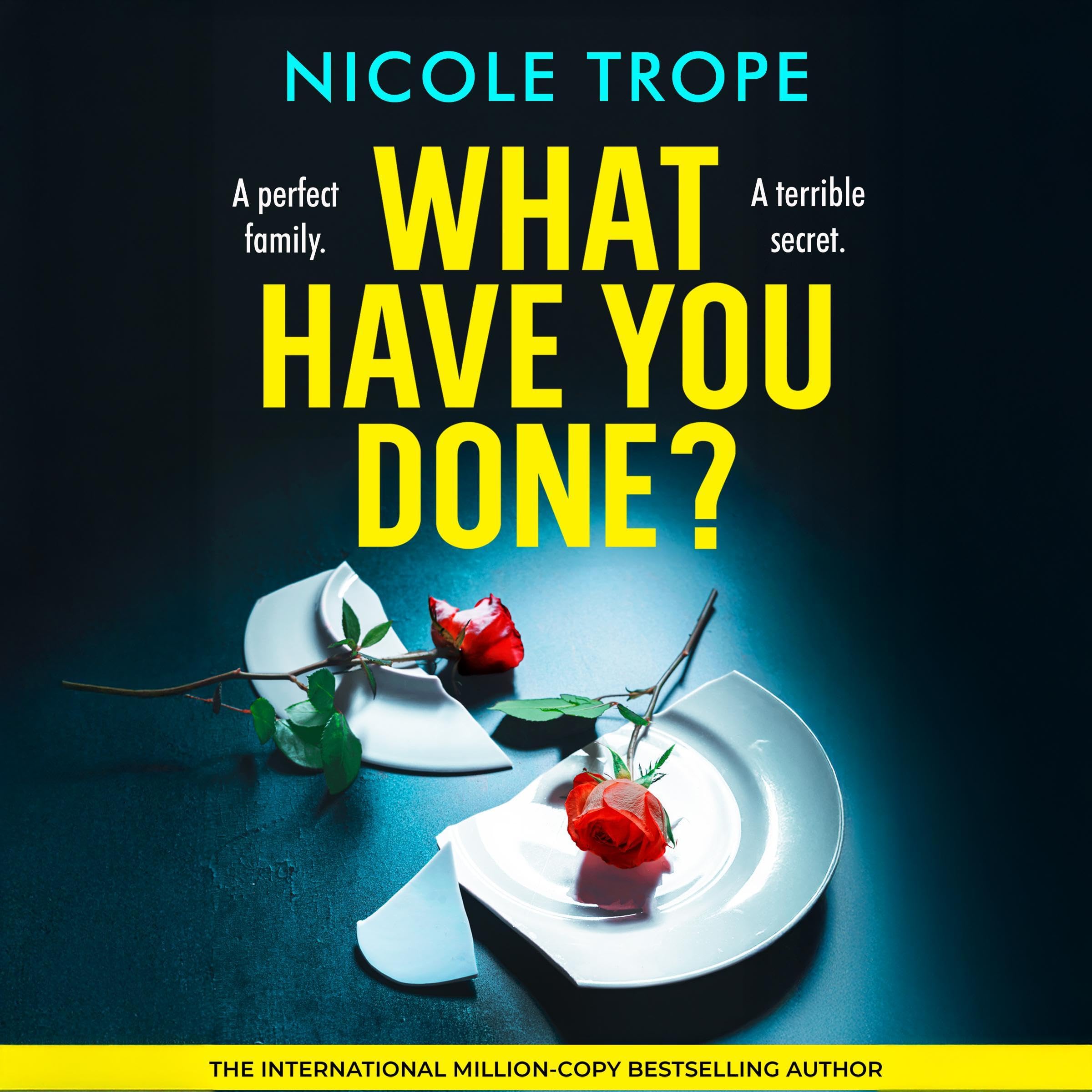 Cover art for What Have You Done?