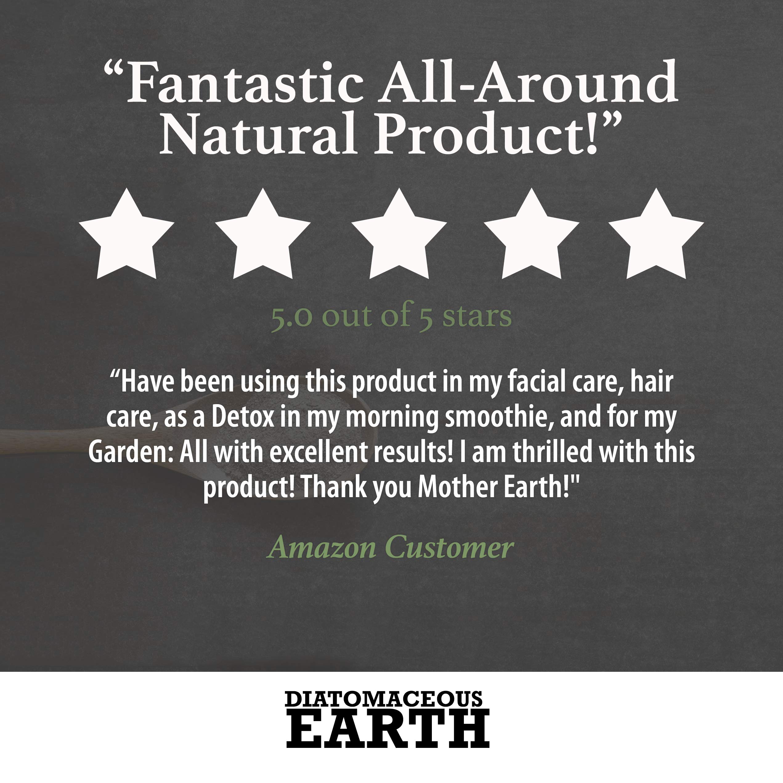 FOSSIL POWER Food Grade DIATOMACEOUS Earth Organic Powder 2lb Bulk