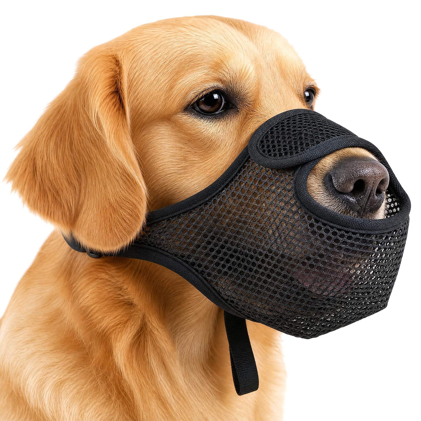 Dog Muzzle, Soft Mesh Muzzle for Small, Medium and Large Dogs, Breathable Mesh and Nylon Dog MaskTraining for Scavenging Biting Licking and Chewing, Allows to Pant and Drink F6-WYGZT