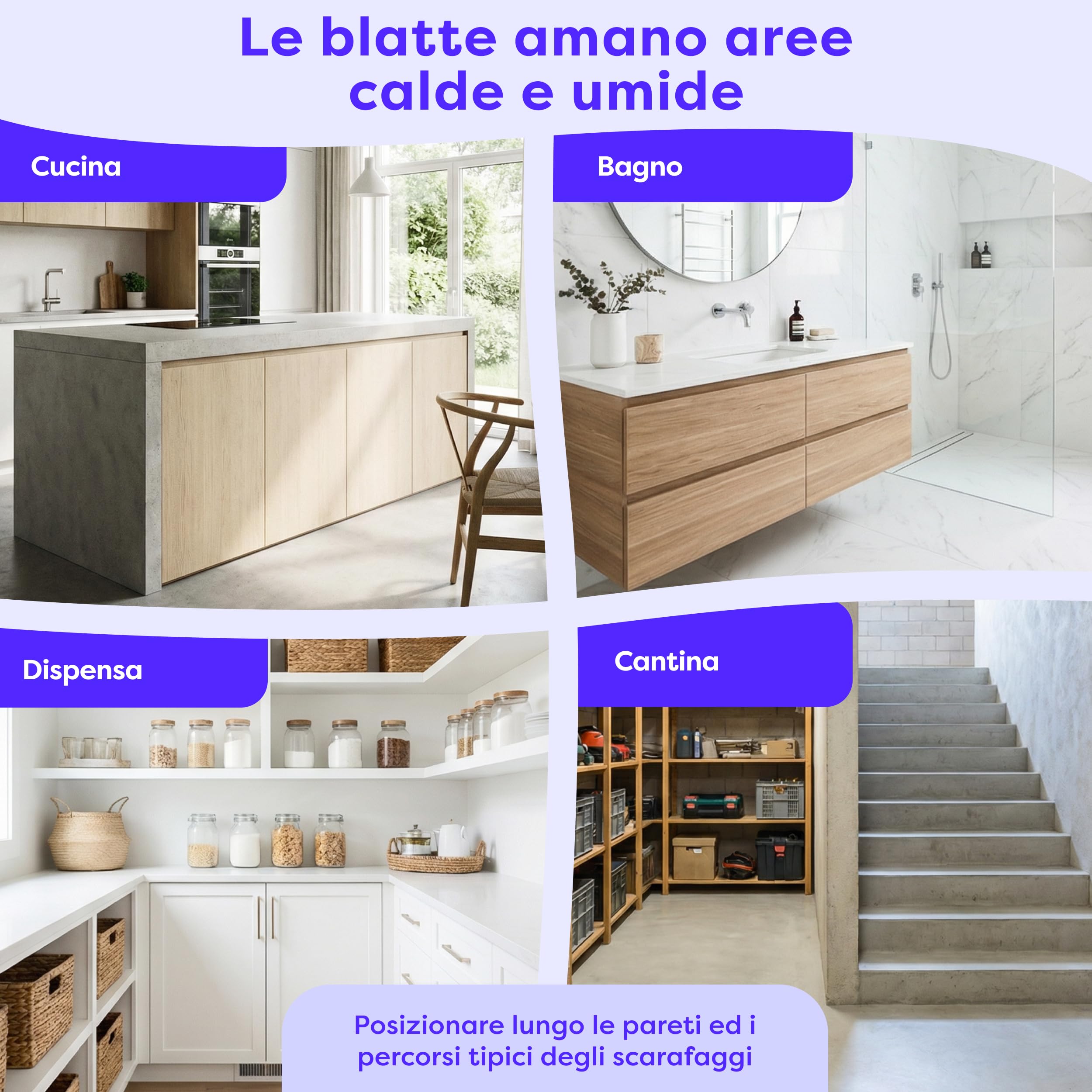 Wolkenfeld 12 Trappole Scarafaggi e Blatte da Interno – Esca Naturale Adesiva per Disinfestazione Casa – Alternativa a Gel Scarafaggi, Spray e Veleno Blatte – Made in Germany
