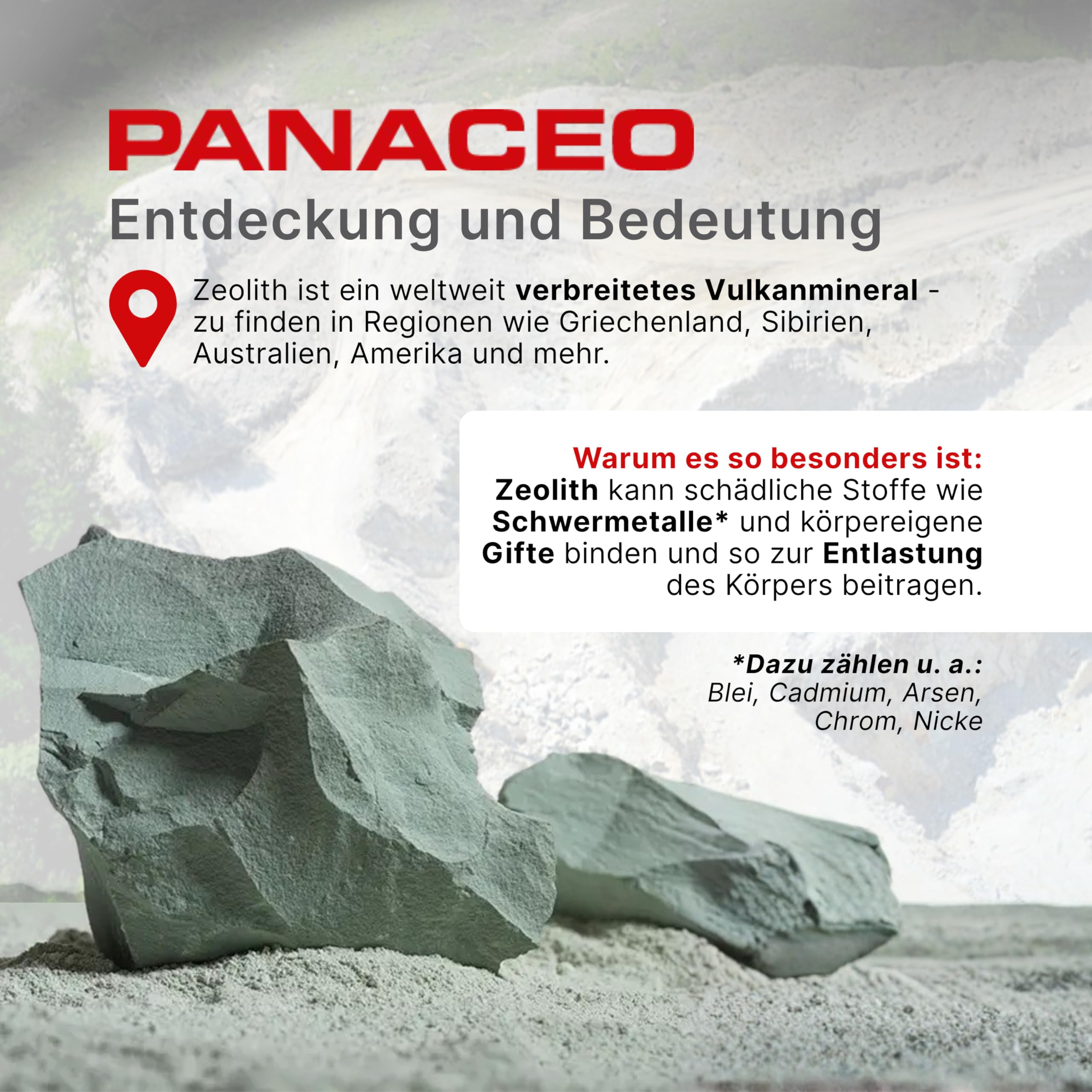 PANACEO MED DARM REPAIR Pulver mit PMA-Zeolith – Veganes Medizinprodukt bei Reizdarm, Leaky Gut & Darmbeschwerden, unterstützt Darmbarriere, Darmflora & Schadstoffbindung, 400 g