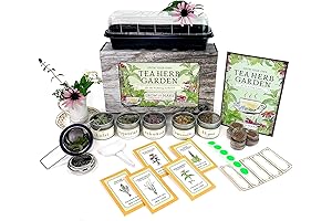 DIY Herbal Tea Growing Kit: Cultivate Your Own Flavorful Teas